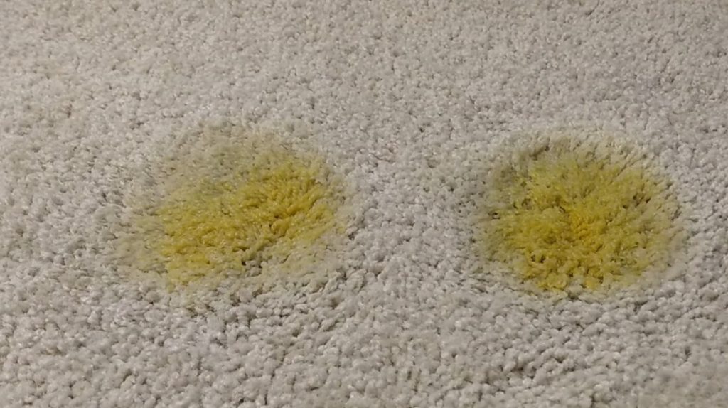 Using Baking Soda to Lift Fresh and Dried Turmeric Stains
