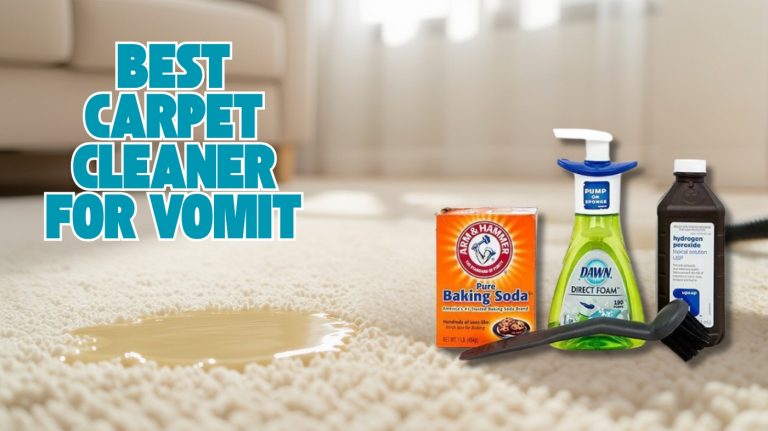 best carpet cleaner for vomit