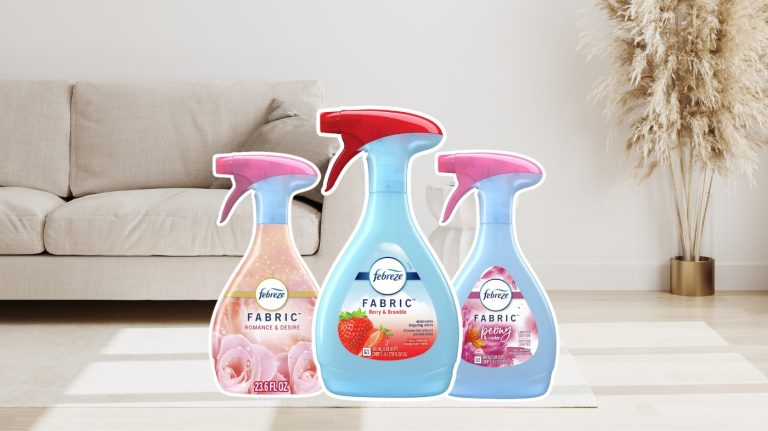 best couch freshener
