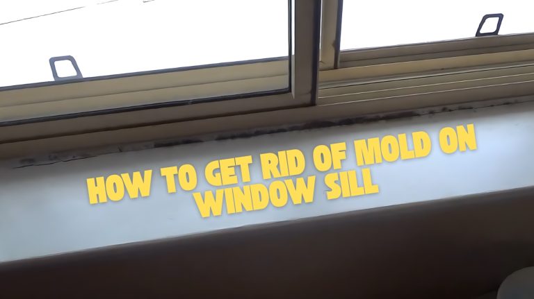 how to get rid of mold on window sill