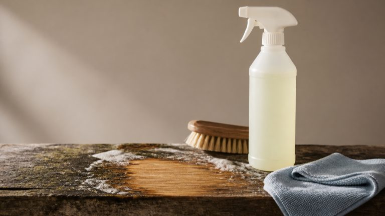 best mold cleaner for wood